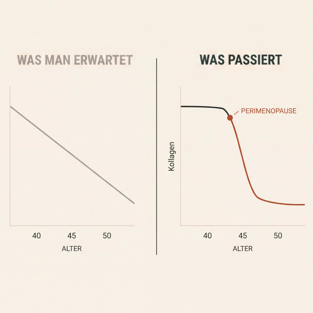 Warum es so schnell ging